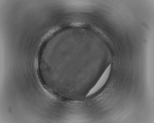 X0000111050734200907161405