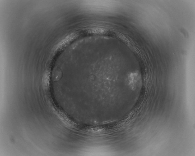 X0000111050735200907161405