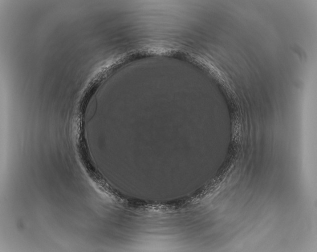 X0000111050736200907161405