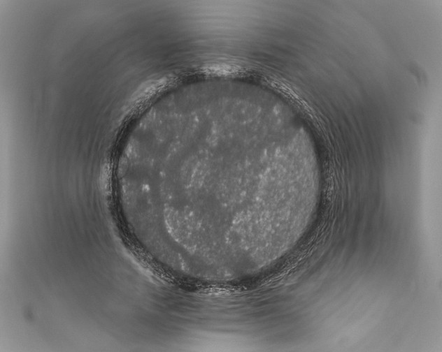 X0000111050738200907161405