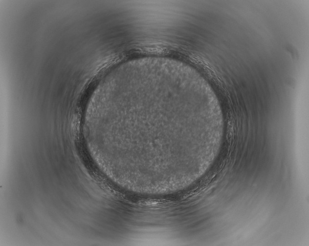 X0000111050739200907161405