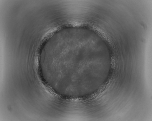 X0000111050740200907161405