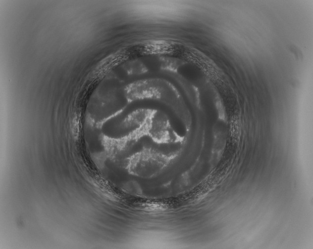 X0000111050741200907161405