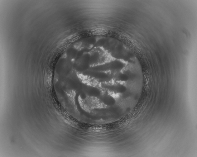 X0000111050745200907161405