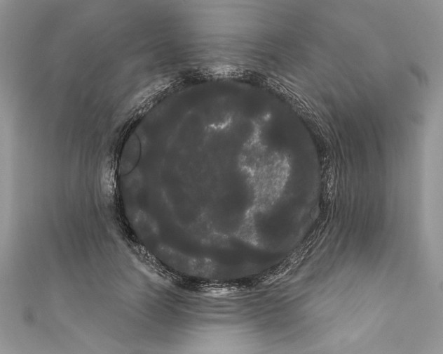 X0000111050746200907161405