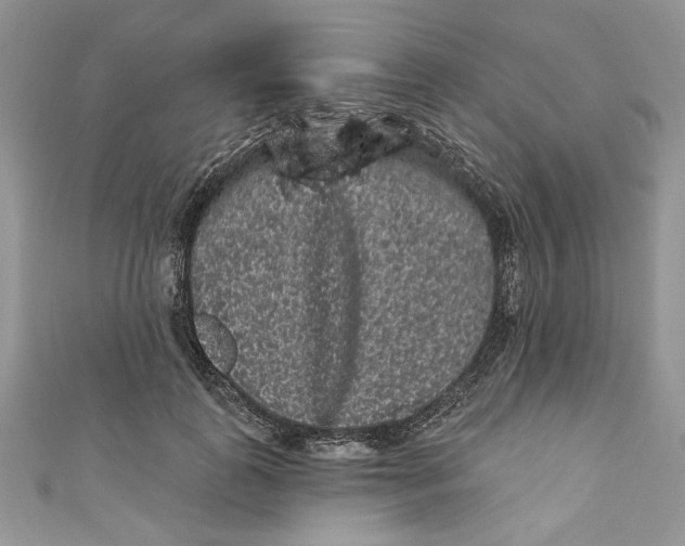 X0000111050747200907161405