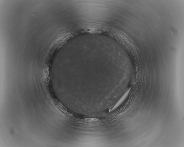 X0000111050748200907161405