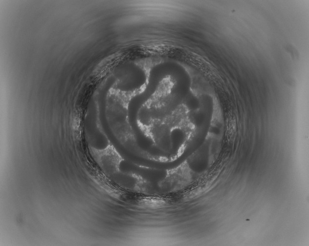 X0000111050749200907161405