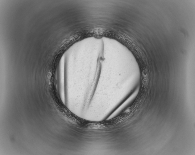 X0000111050750200907161405