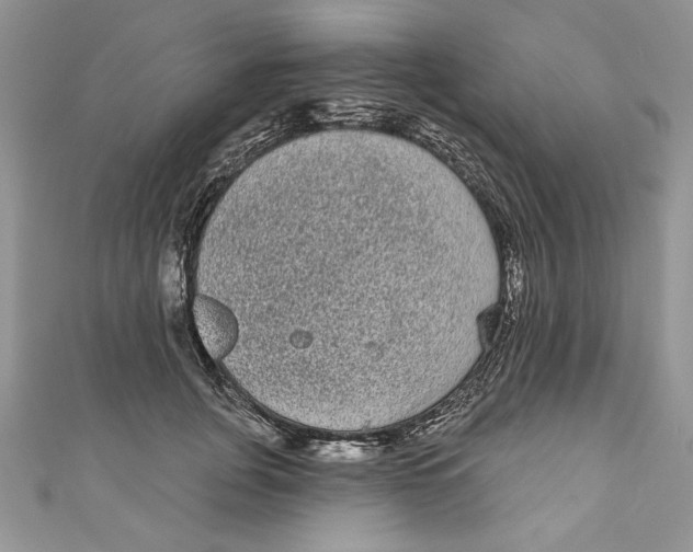 X0000111050751200907161405