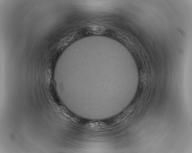 X0000111050752200907161405