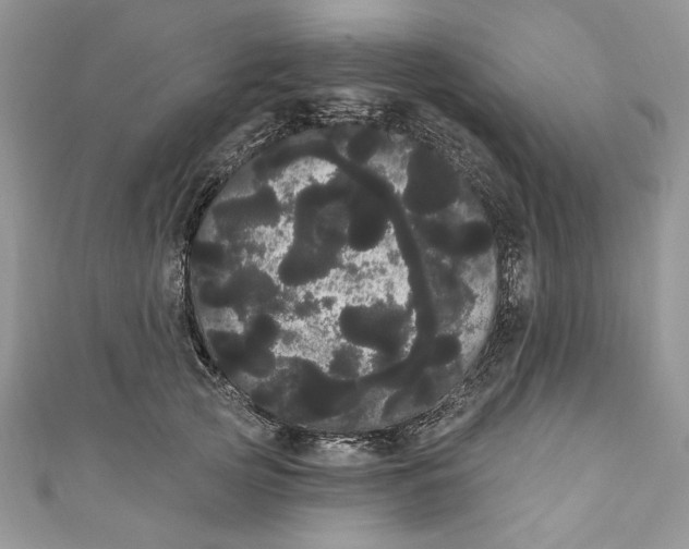 X0000111050753200907161405