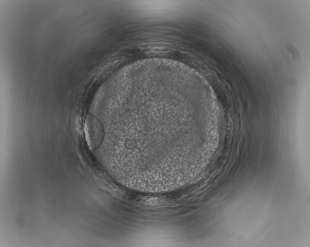 X0000111050755200907161405