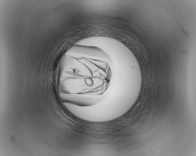 X0000111050756200907161405