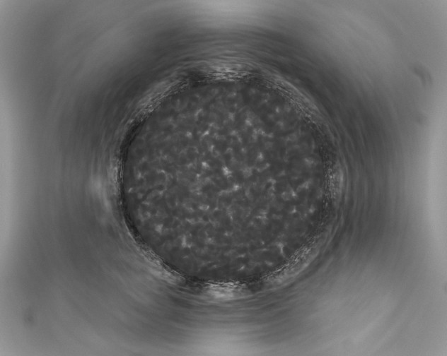 X0000111050757200907161405