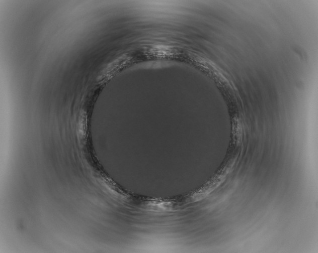 X0000111050760200907161405