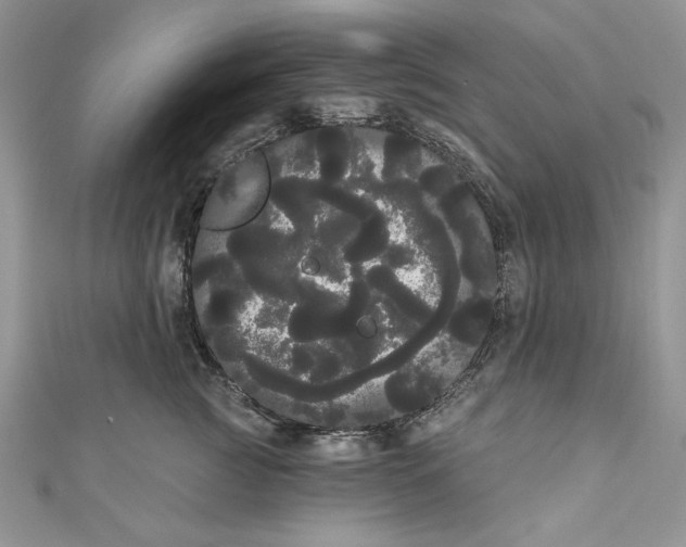 X0000111050761200907161405