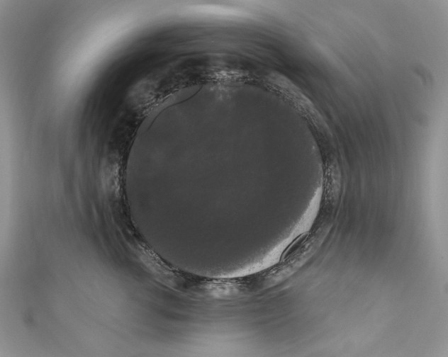 X0000111050762200907161405