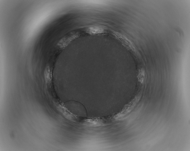 X0000111050763200907161405