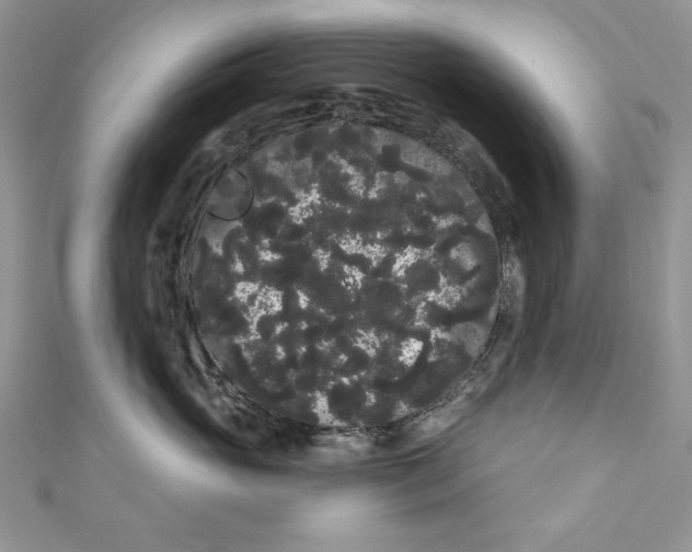 X0000111050765200907161405