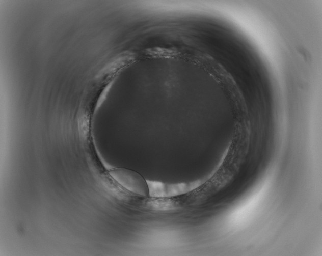 X0000111050767200907161405