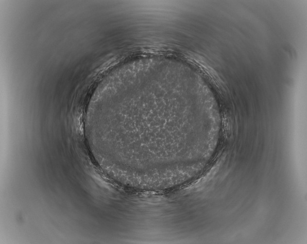 X0000111050770200907161404