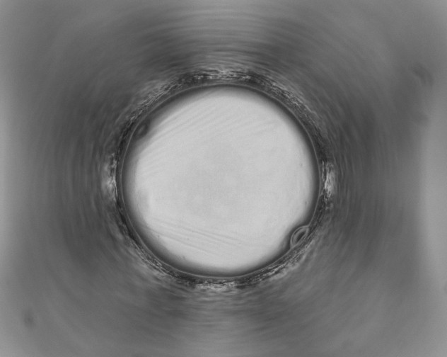 X0000111050771200907161404