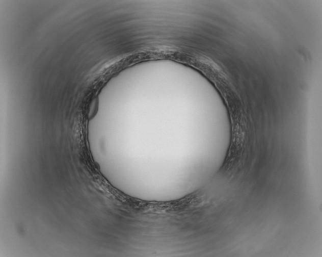 X0000111050773200907161404