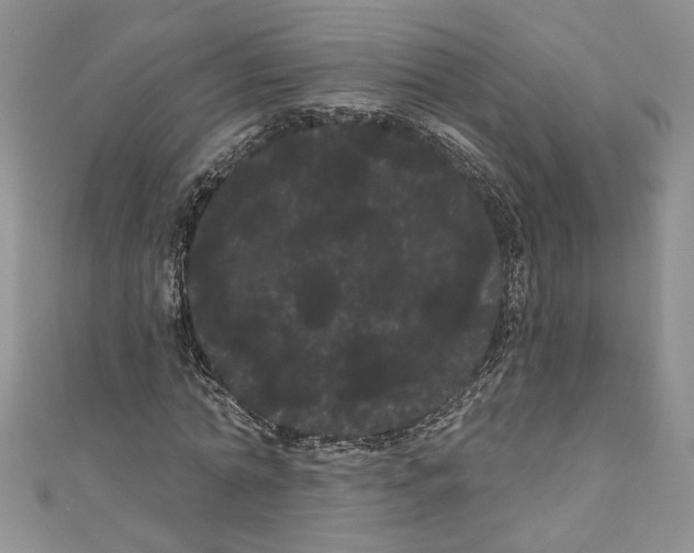 X0000111050774200907161404