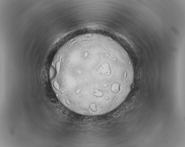 X0000111050776200907161404