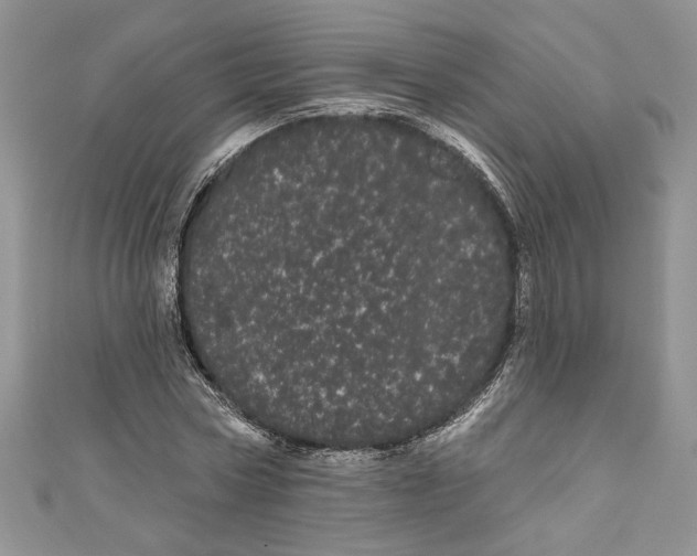 X0000111050778200907161404