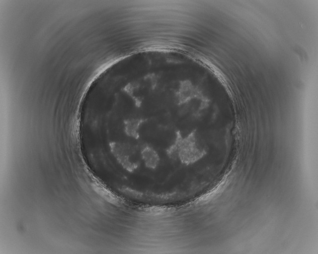 X0000111050779200907161404