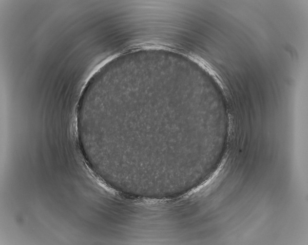 X0000111050782200907161404