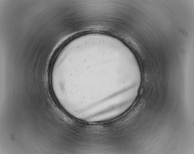 X0000111050784200907161404