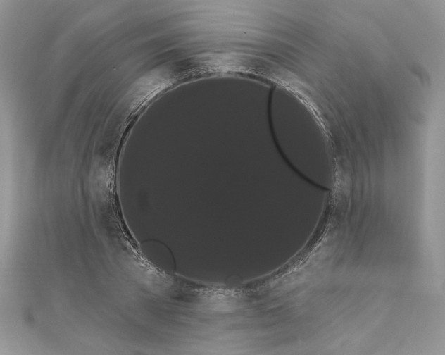 X0000111050785200907161404