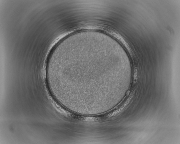 X0000111050787200907161404