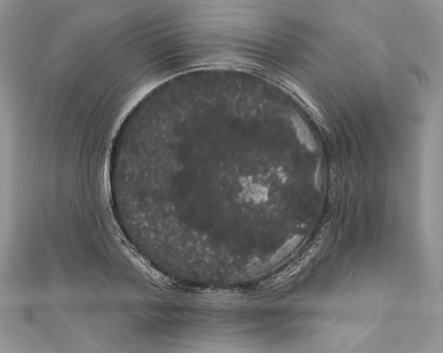 X0000111050788200907161404