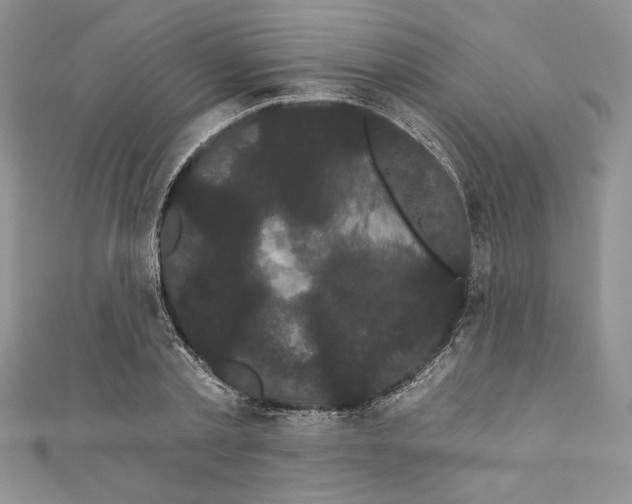 X0000111050789200907161404