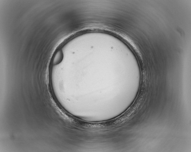 X0000111050791200907161404