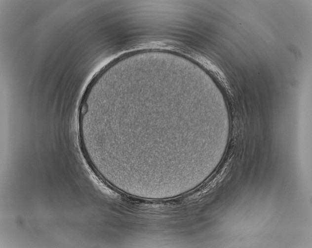 X0000111050792200907161404