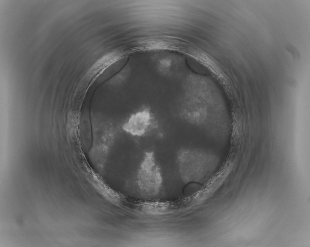 X0000111050793200907161404