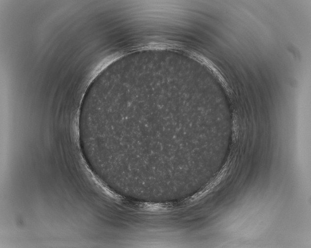 X0000111050794200907161404