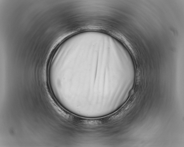 X0000111050795200907161404