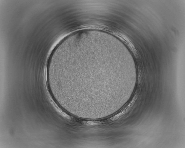 X0000111050796200907161404