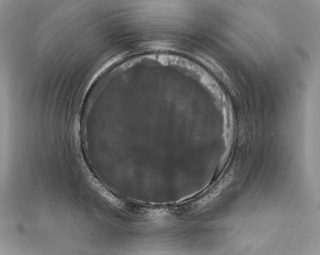 X0000111050798200907161404