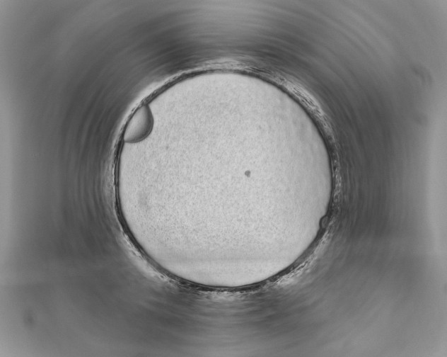 X0000111050800200907161404