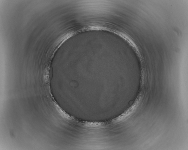 X0000111050801200907161404