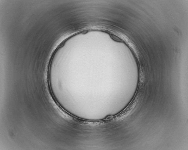 X0000111050803200907161404