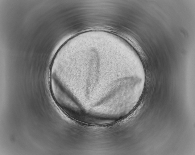 X0000111050804200907161404