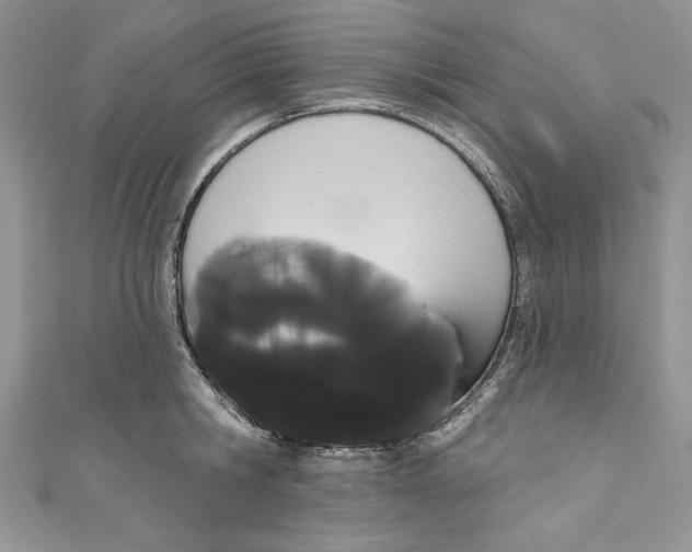 X0000111050806200907161404